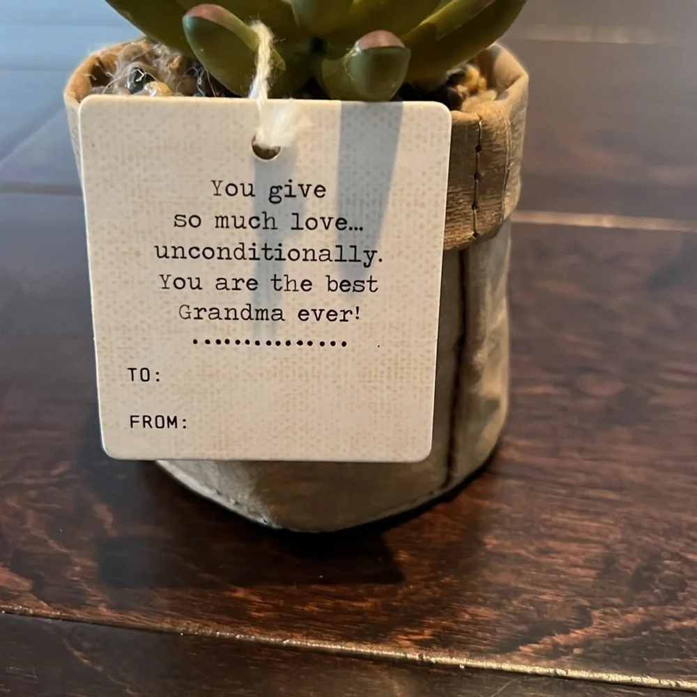 Grandma faux succulent plant